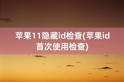 苹果11隐藏id检查(苹果id首次使用检查)