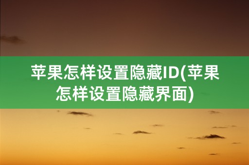 苹果怎样设置隐藏ID(苹果怎样设置隐藏界面)