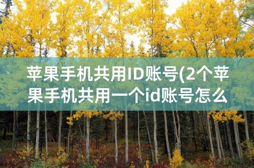 苹果手机共用ID账号(2个苹果手机共用一个id账号怎么取消同步)