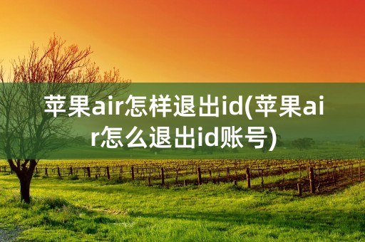 苹果air怎样退出id(苹果air怎么退出id账号)