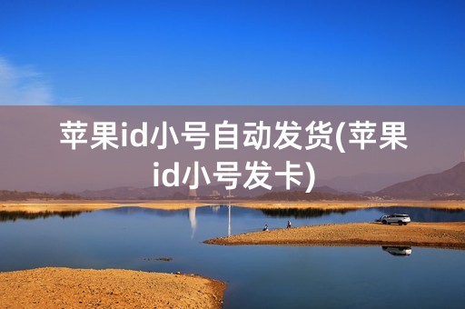 苹果id小号自动发货(苹果id小号发卡)