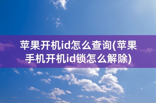 苹果开机id怎么查询(苹果手机开机id锁怎么解除)