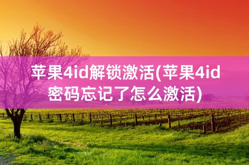 苹果4id解锁激活(苹果4id密码忘记了怎么激活)