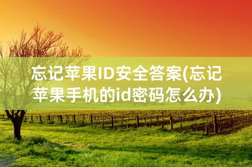 忘记苹果ID安全答案(忘记苹果手机的id密码怎么办)