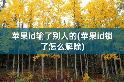 苹果id输了别人的(苹果id锁了怎么解除)