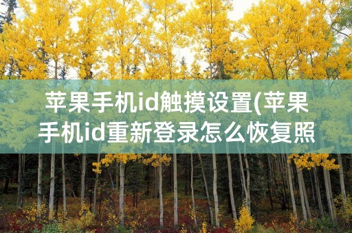 苹果手机id触摸设置(苹果手机id重新登录怎么恢复照片)