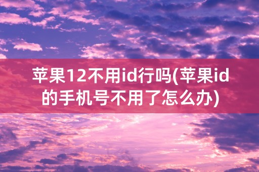 苹果12不用id行吗(苹果id的手机号不用了怎么办)