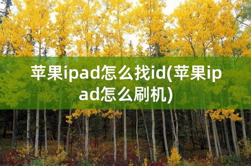 苹果ipad怎么找id(苹果ipad怎么刷机)