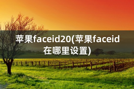 苹果faceid20(苹果faceid在哪里设置)