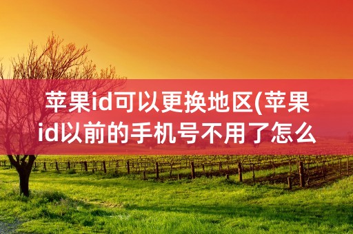 苹果id可以更换地区(苹果id以前的手机号不用了怎么改)