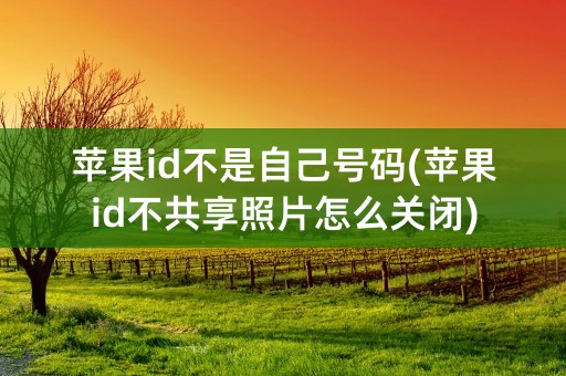 苹果id不是自己号码(苹果id不共享照片怎么关闭)