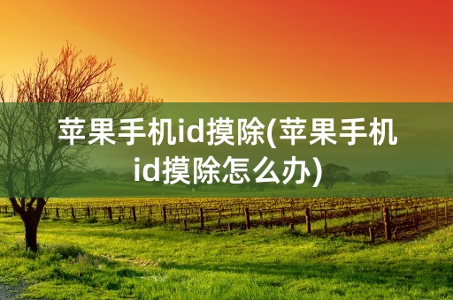 苹果手机id摸除(苹果手机id摸除怎么办)