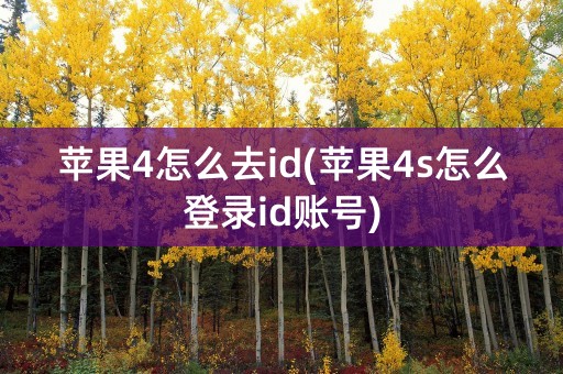 苹果4怎么去id(苹果4s怎么登录id账号)