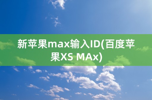 新苹果max输入ID(百度苹果XS MAx)