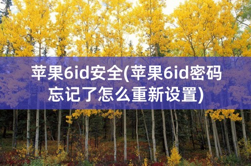 苹果6id安全(苹果6id密码忘记了怎么重新设置)