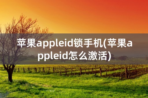 苹果appleid锁手机(苹果appleid怎么激活)