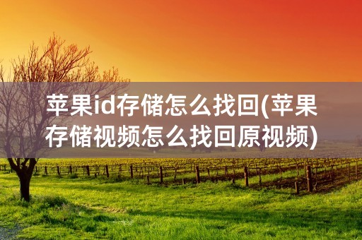 苹果id存储怎么找回(苹果存储视频怎么找回原视频)