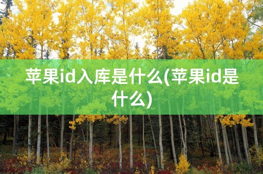 苹果id入库是什么(苹果id是什么)