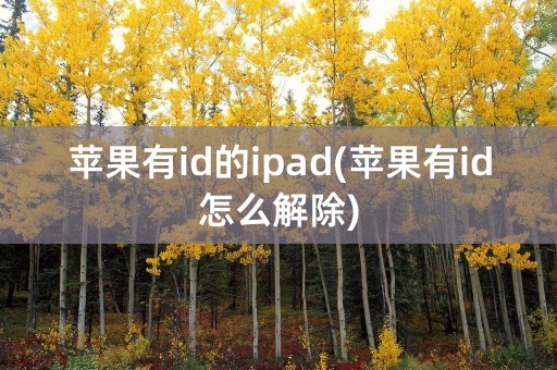 苹果有id的ipad(苹果有id怎么解除)