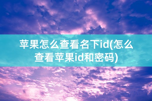 苹果怎么查看名下id(怎么查看苹果id和密码)