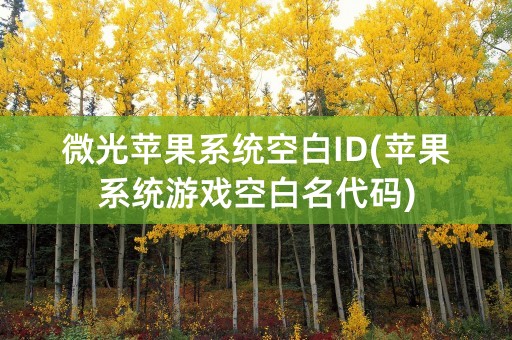 微光苹果系统空白ID(苹果系统游戏空白名代码)