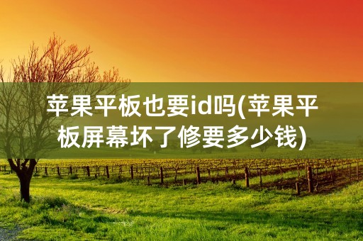 苹果平板也要id吗(苹果平板屏幕坏了修要多少钱)