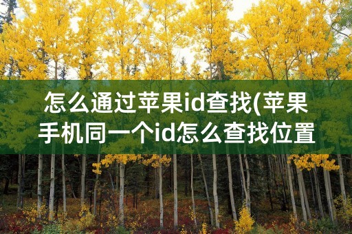 怎么通过苹果id查找(苹果手机同一个id怎么查找位置)