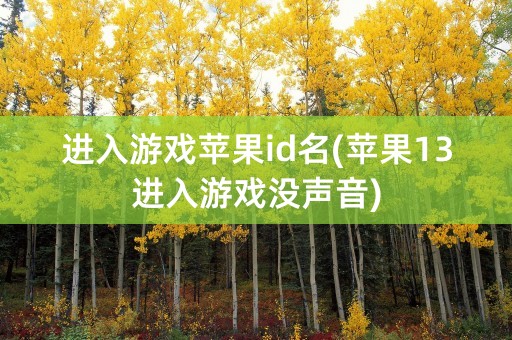 进入游戏苹果id名(苹果13进入游戏没声音)