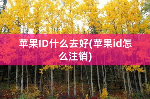 苹果ID什么去好(苹果id怎么注销)