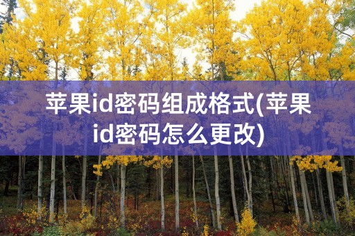 苹果id密码组成格式(苹果id密码怎么更改)