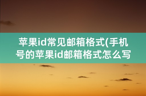 苹果id常见邮箱格式(手机号的苹果id邮箱格式怎么写)