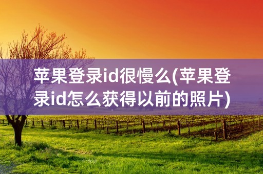 苹果登录id很慢么(苹果登录id怎么获得以前的照片)