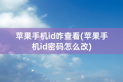 苹果手机id咋查看(苹果手机id密码怎么改)