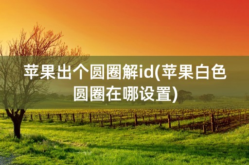 苹果出个圆圈解id(苹果白色圆圈在哪设置)