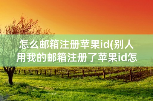 怎么邮箱注册苹果id(别人用我的邮箱注册了苹果id怎么办)