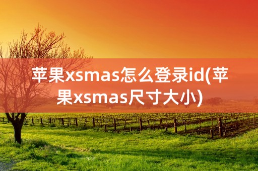 苹果xsmas怎么登录id(苹果xsmas尺寸大小)