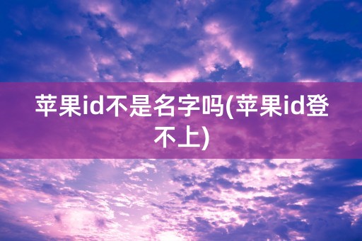 苹果id不是名字吗(苹果id登不上)