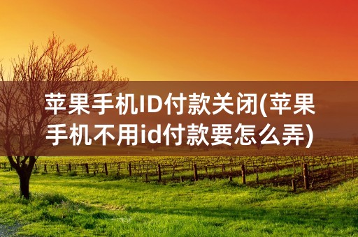 苹果手机ID付款关闭(苹果手机不用id付款要怎么弄)