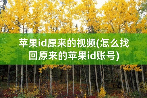 苹果id原来的视频(怎么找回原来的苹果id账号)