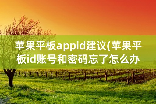 苹果平板appid建议(苹果平板id账号和密码忘了怎么办)