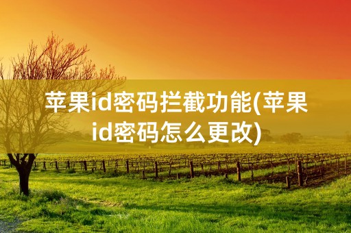 苹果id密码拦截功能(苹果id密码怎么更改)