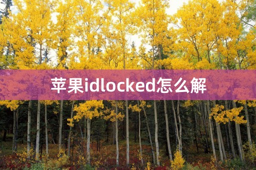 苹果idlocked怎么解