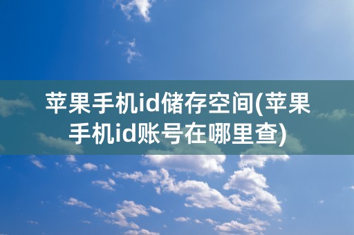 苹果手机id储存空间(苹果手机id账号在哪里查)