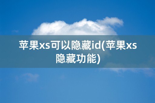 苹果xs可以隐藏id(苹果xs隐藏功能)