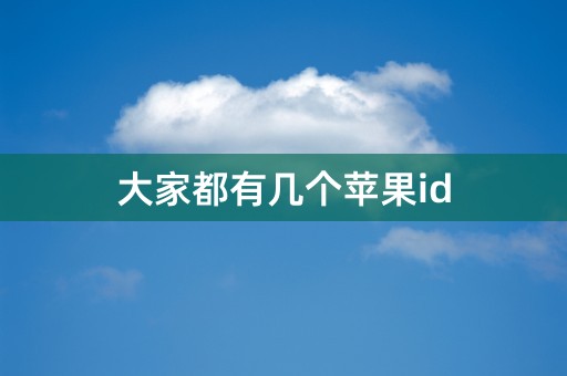 大家都有几个苹果id