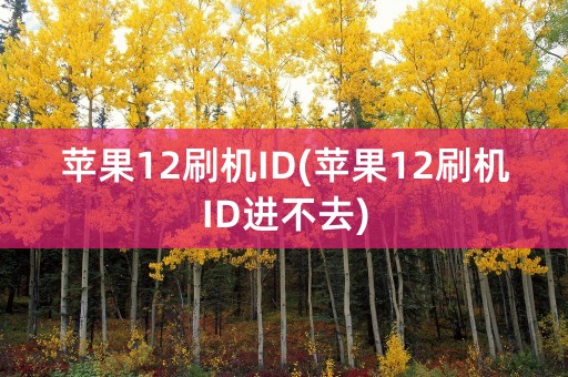 苹果12刷机ID(苹果12刷机ID进不去)