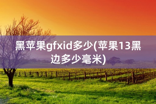 黑苹果gfxid多少(苹果13黑边多少毫米)