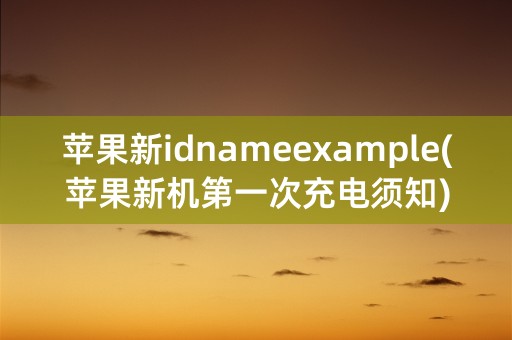 苹果新idnameexample(苹果新机第一次充电须知)