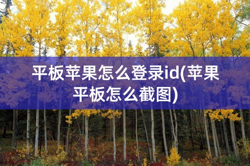 平板苹果怎么登录id(苹果平板怎么截图)