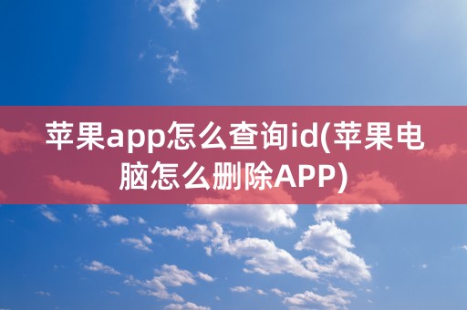 苹果app怎么查询id(苹果电脑怎么删除APP)